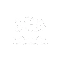 Ikon - Fisk